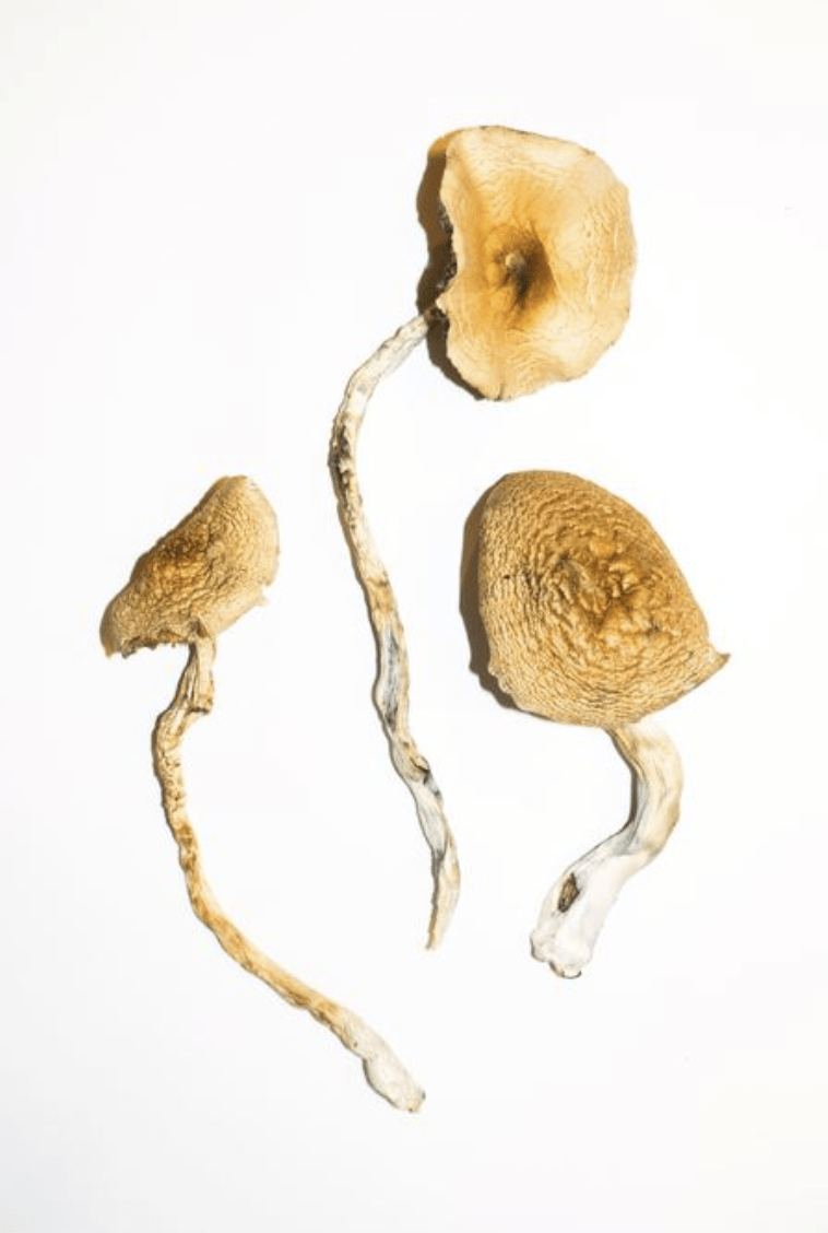 Lemon Tek: How It Works, Timing and Dosage